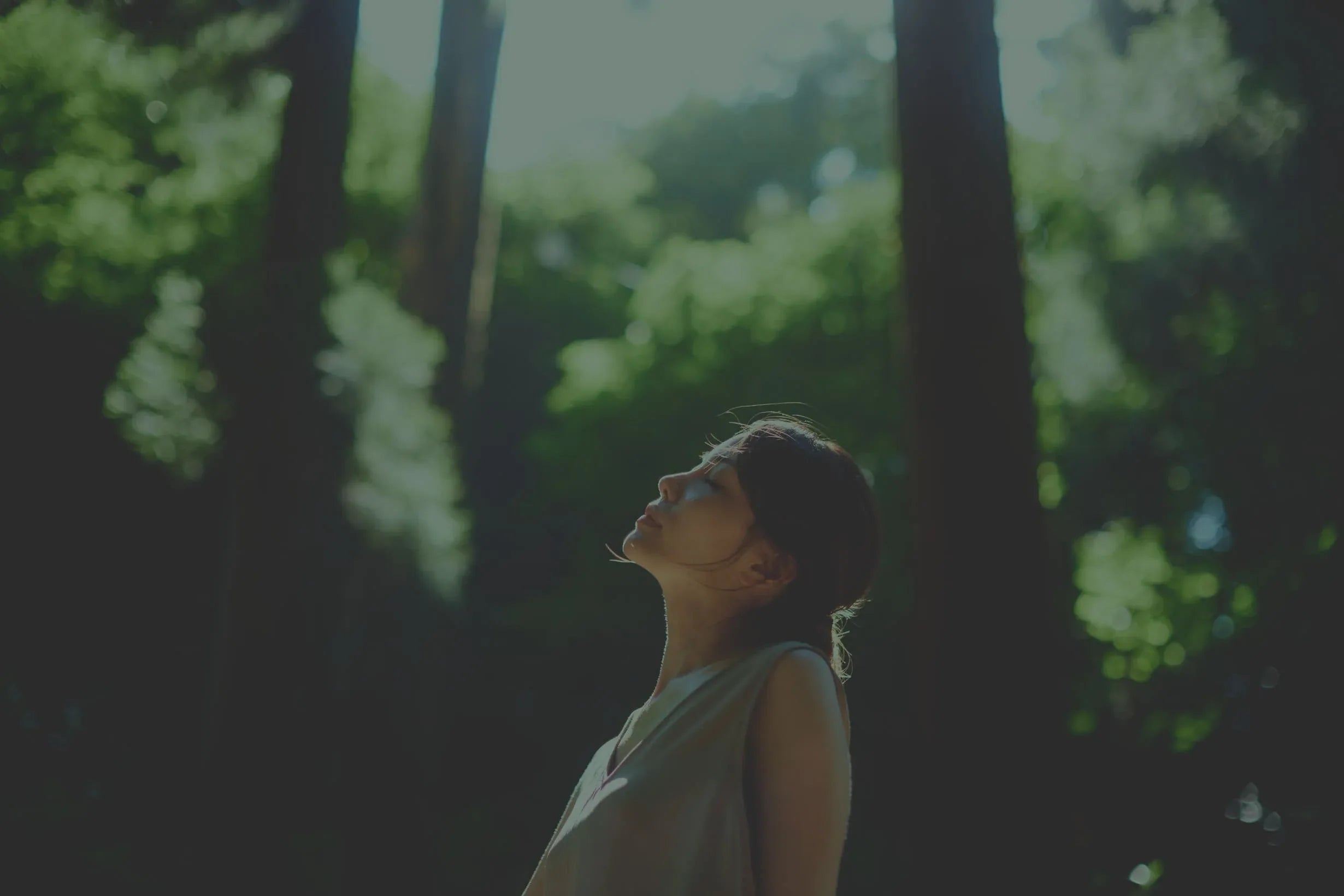 theme background main 02 - Balance Lab